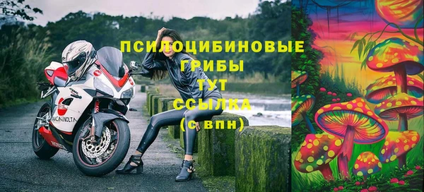 apvp Абаза