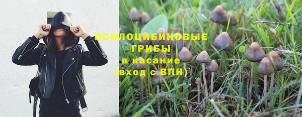 гидропоника Абинск