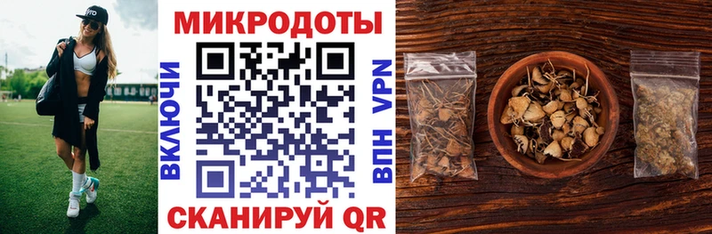 Псилоцибиновые грибы Cubensis  что такое наркотик  площадка клад  Куртамыш 